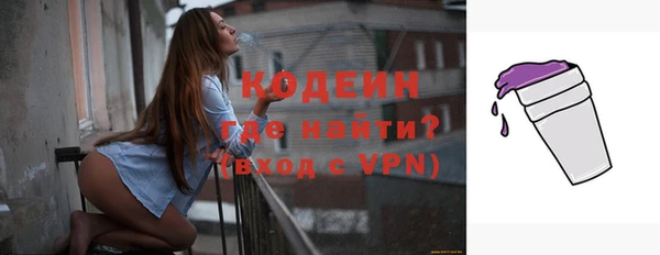 индика Кукмор