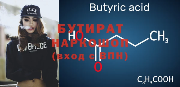индика Коряжма