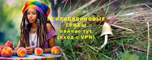шишки Апатиты