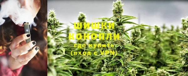 индика Кукмор