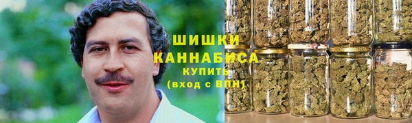 индика Кукмор