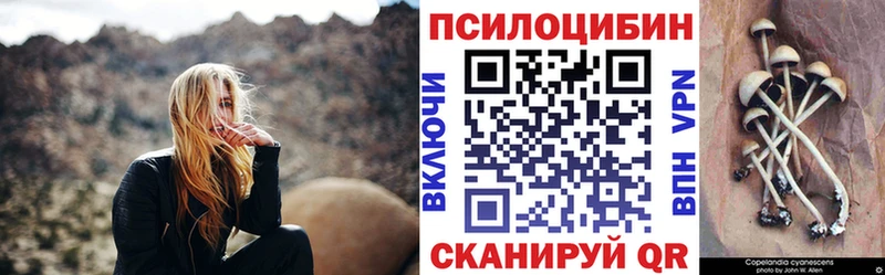 купить   Лобня  Псилоцибиновые грибы Cubensis 