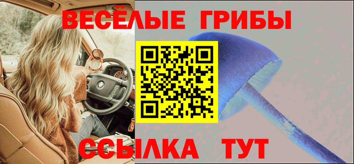 Галлюциногенные грибы Psilocybine cubensis Лобня