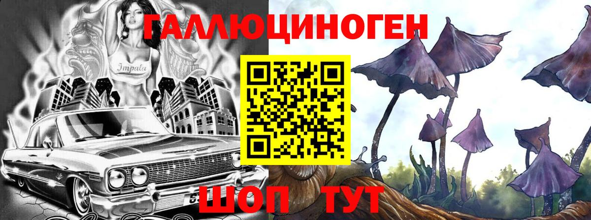 наркота  Псилоцибиновые грибы прущие грибы  Вход с VPN  Лобня 